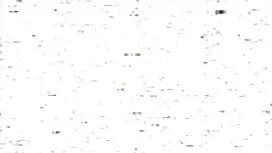 Đĩ châu á, người xxx ...