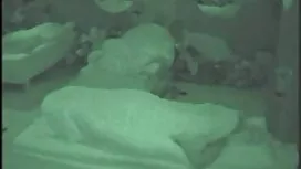 - Búp bê 157 cm - si ...