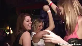 Mẹ kiếp Carmen Bella ...