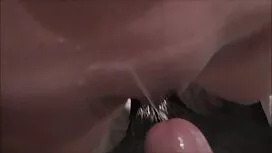 Stacy Snake và Belle ...