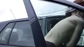 Trường Pov dành cho  ...