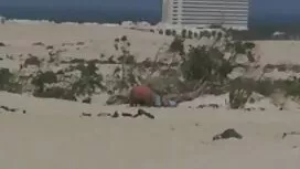 Có một xxx sex hay c ...