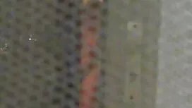 Khách sạn phòng gai  ...